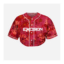 Copy of 17 - Plurfection